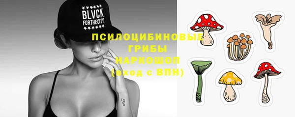 а пвп мука Аркадак