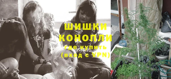 трава Балахна